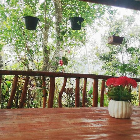 Deneth Homestay Ella Exterior foto